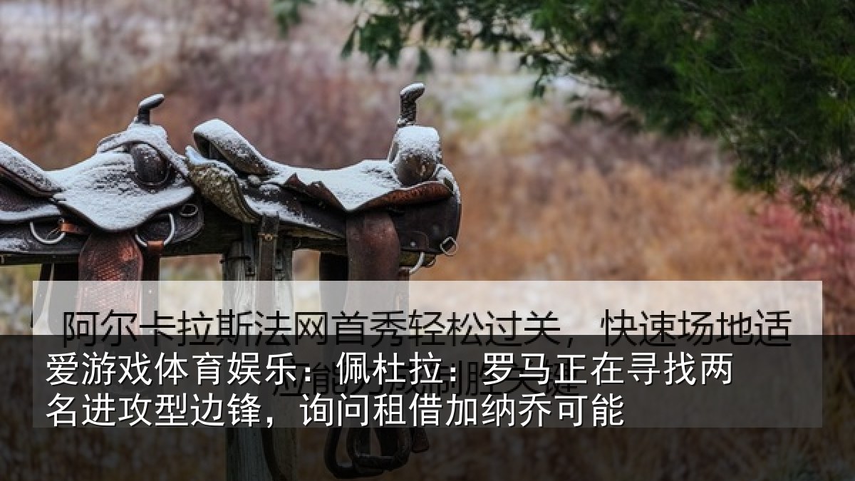 爱游戏体育娱乐：佩杜拉：罗马相关情况型边相关情况可能