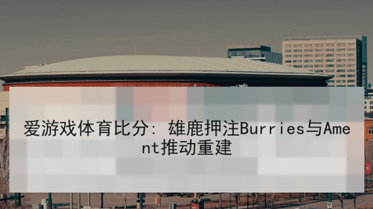 爱游戏体育比分: 雄鹿押注Burries与Ament推动重建
