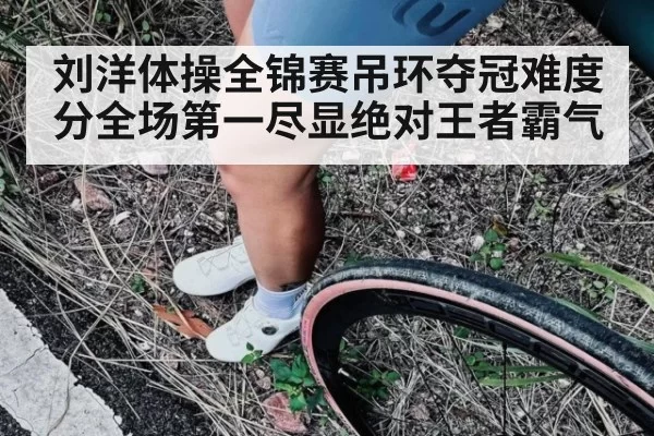 刘洋体操全锦赛吊环夺冠难度分全场第一尽显绝对王者霸气
