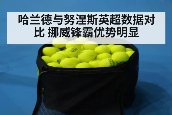 哈兰德与努涅斯英超数据对比 挪威锋霸优势明显