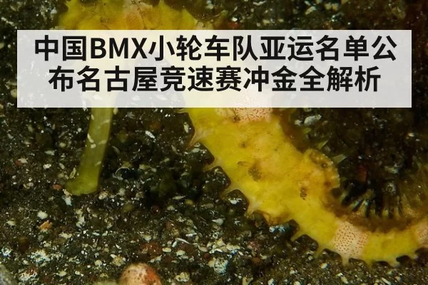 中国BMX小轮车队亚运名单公布名古屋竞速赛冲金全解析